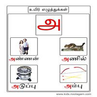 பாடங்கள்