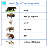 பாடங்கள்