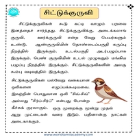 பாடங்கள்