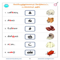 பாடங்கள்