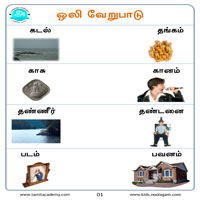 பாடங்கள்