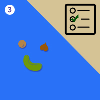 பாடங்கள்