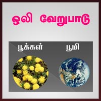 பாடங்கள்