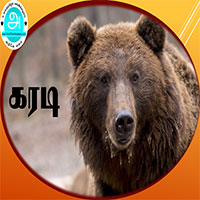 பாடங்கள்
