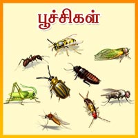 பாடங்கள்