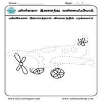 Worksheets