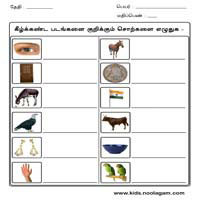 Worksheets