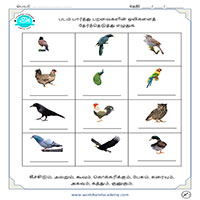 Worksheets