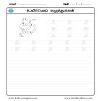 Worksheets