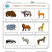 Worksheets