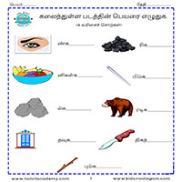 Worksheets