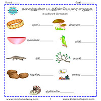 Worksheets