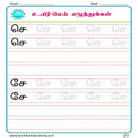 Worksheets