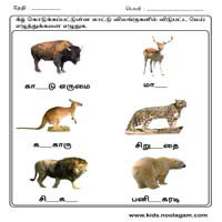 Worksheets