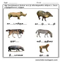 Worksheets